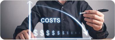 Cost Efficiency