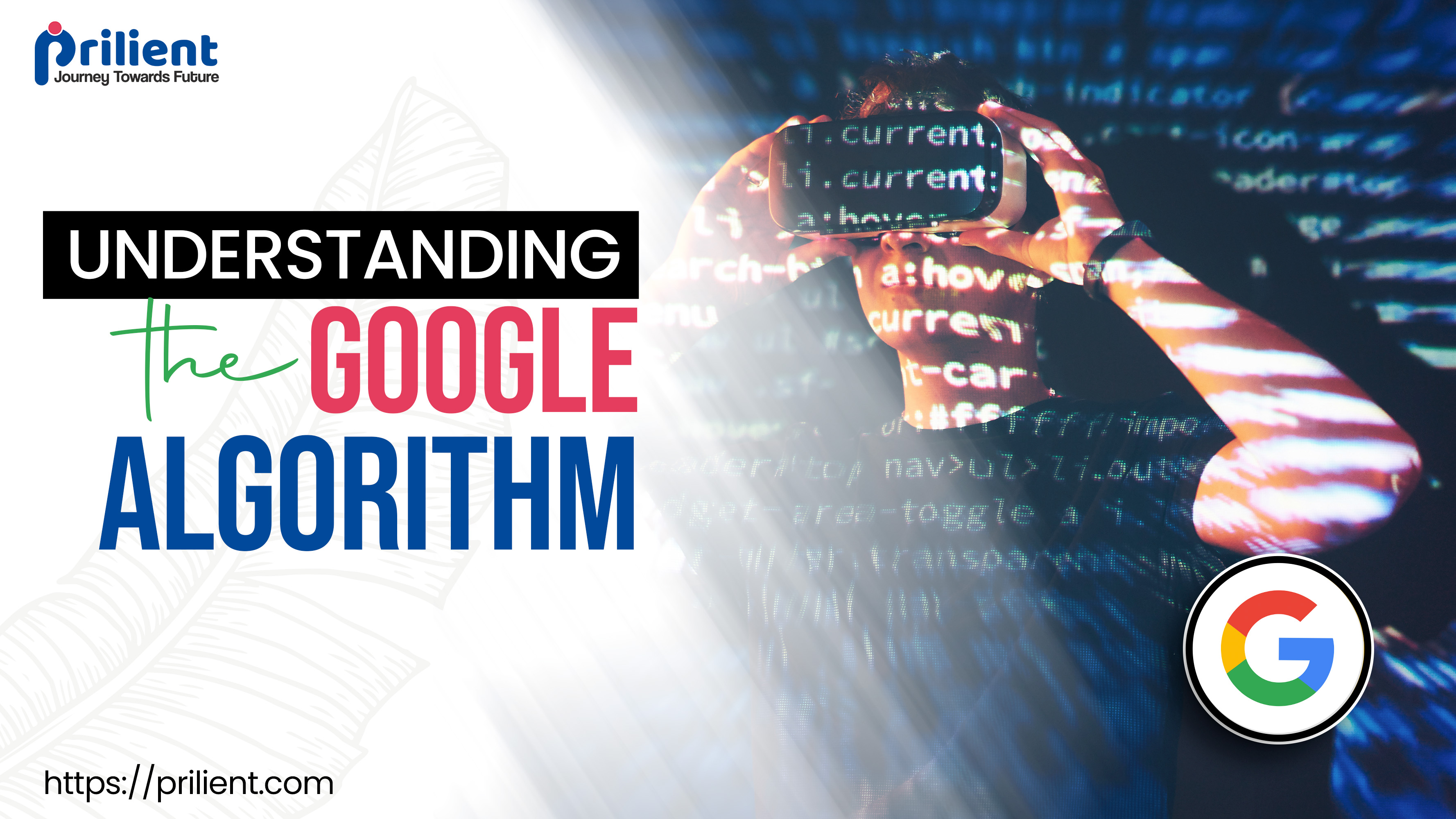 Understanding the Google Algorithm: The Path to Search Success